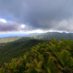 Nature & Landscape